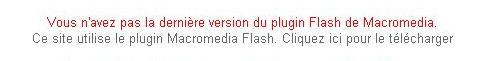 Vous n'avez pas la dernire verison de Flash